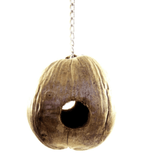 A Coco Loco birdhouse hanging from a chain on a white background.